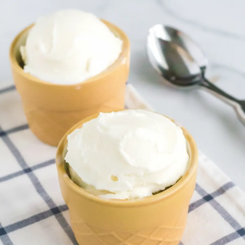Classic Ninja Creami Vanilla Ice Cream