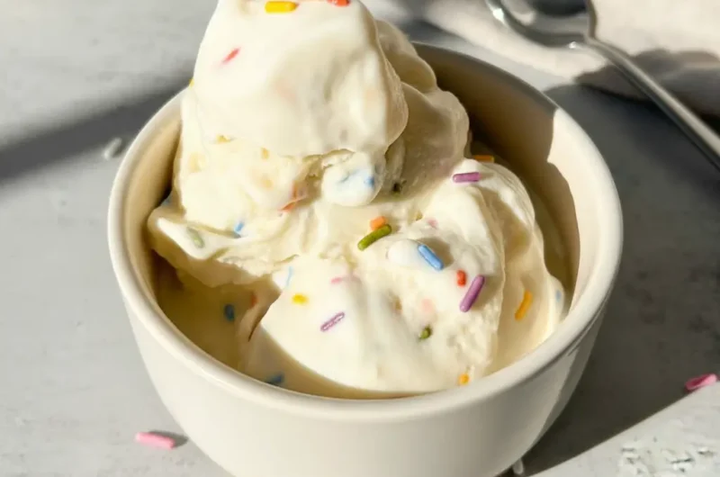 Ninja Creami Vanilla Ice Cream with Pudding