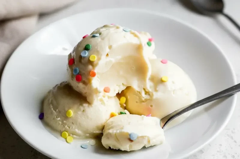 Simple High Protein Ninja Creami Recipes with Vanilla