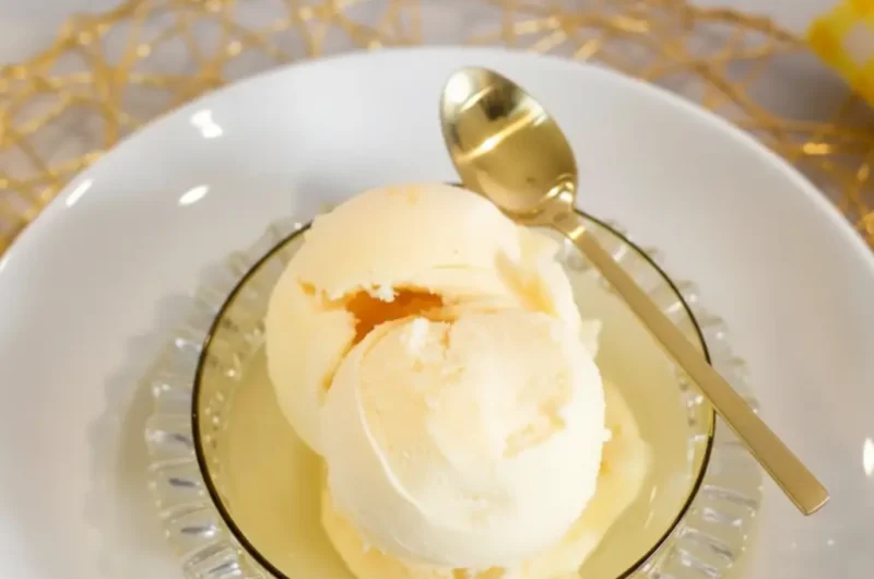 Simple Pineapple Ninja Creami Sorbet